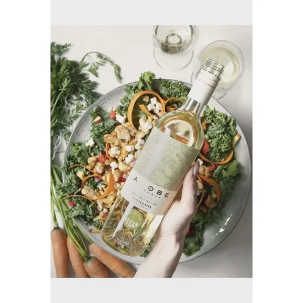 VINO ADOBE SAUVIGNON BLANC BOT 750 ML EMILIANA